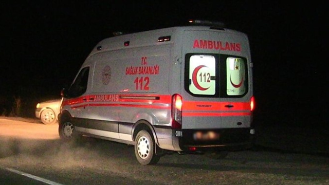 Üzerine ağaç devrilen kişi öldü