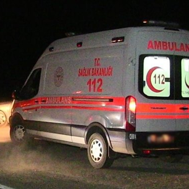 Üzerine ağaç devrilen kişi öldü