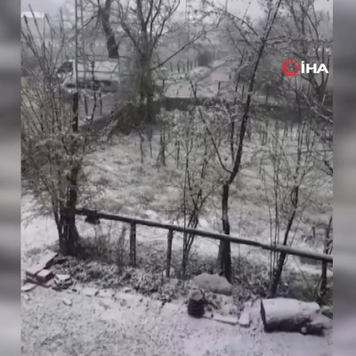 Kiraz çiçekleri karla kaplandı