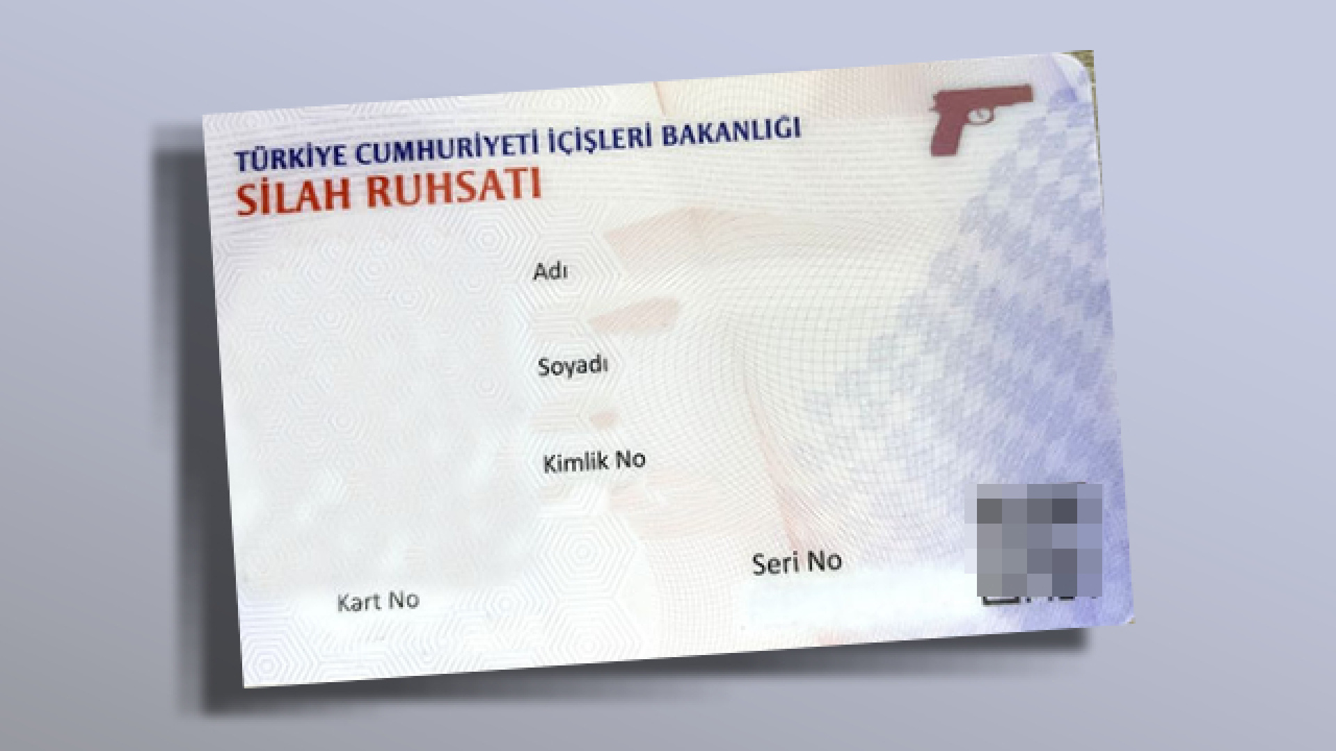 Silah sahipliği sınırlandırılacak: Eylem planı yolda | Son dakika haberleri