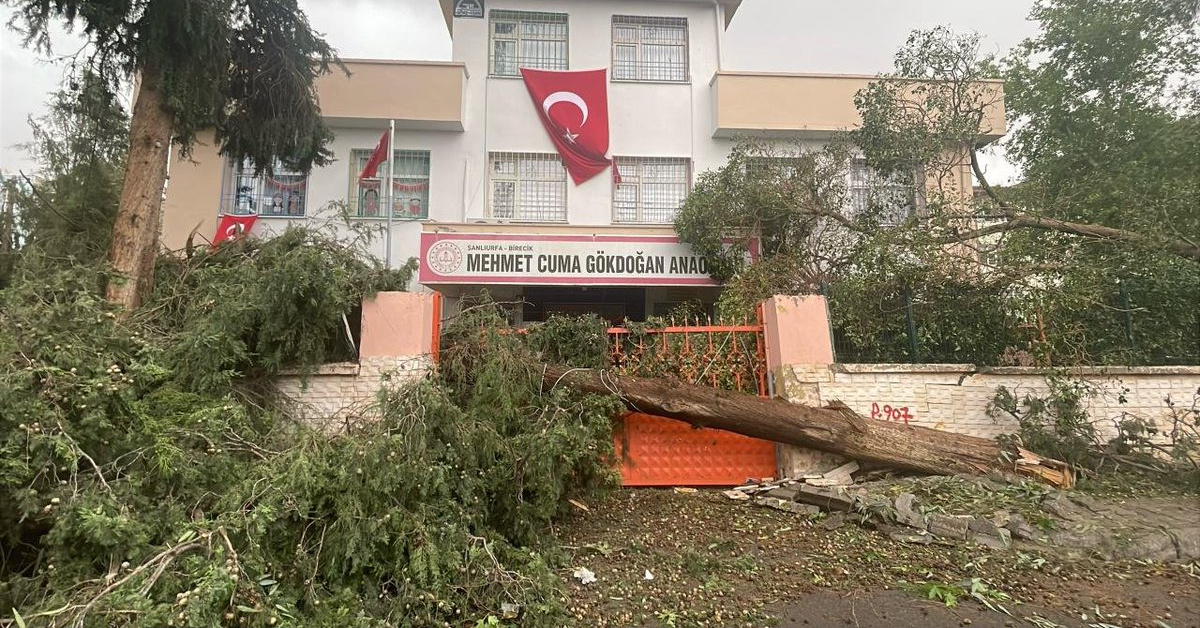 Şanlıurfa ve Gaziantep'te fırtına hasarı: 24 okulda eğitime ara verildi, bir kişi hayatını kaybetti — image 2