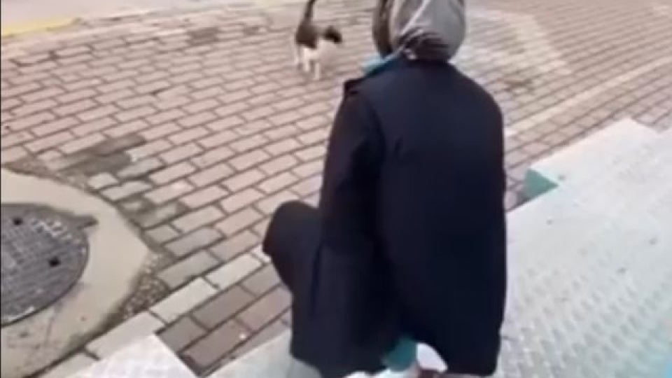Sokak kedisine yaptığı kan dondurdu!