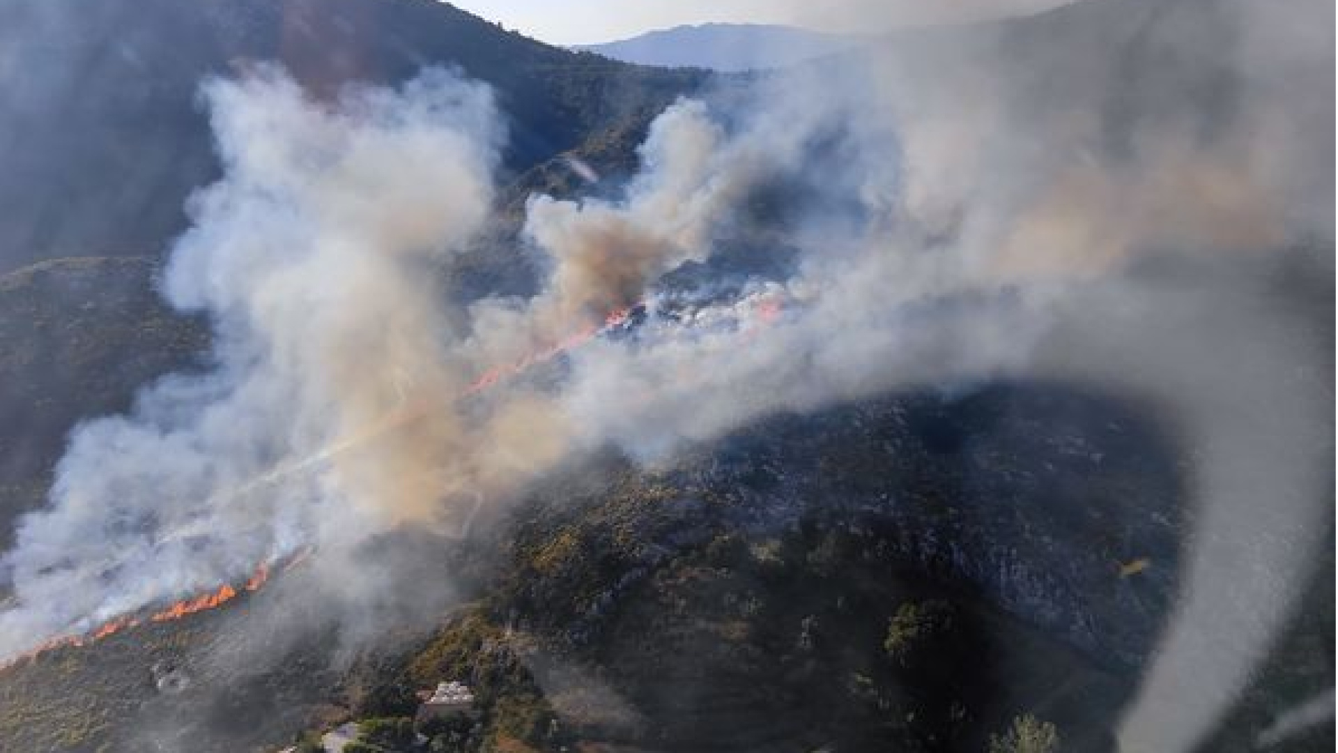 Muğla Marmaris'te orman yangını çıktı