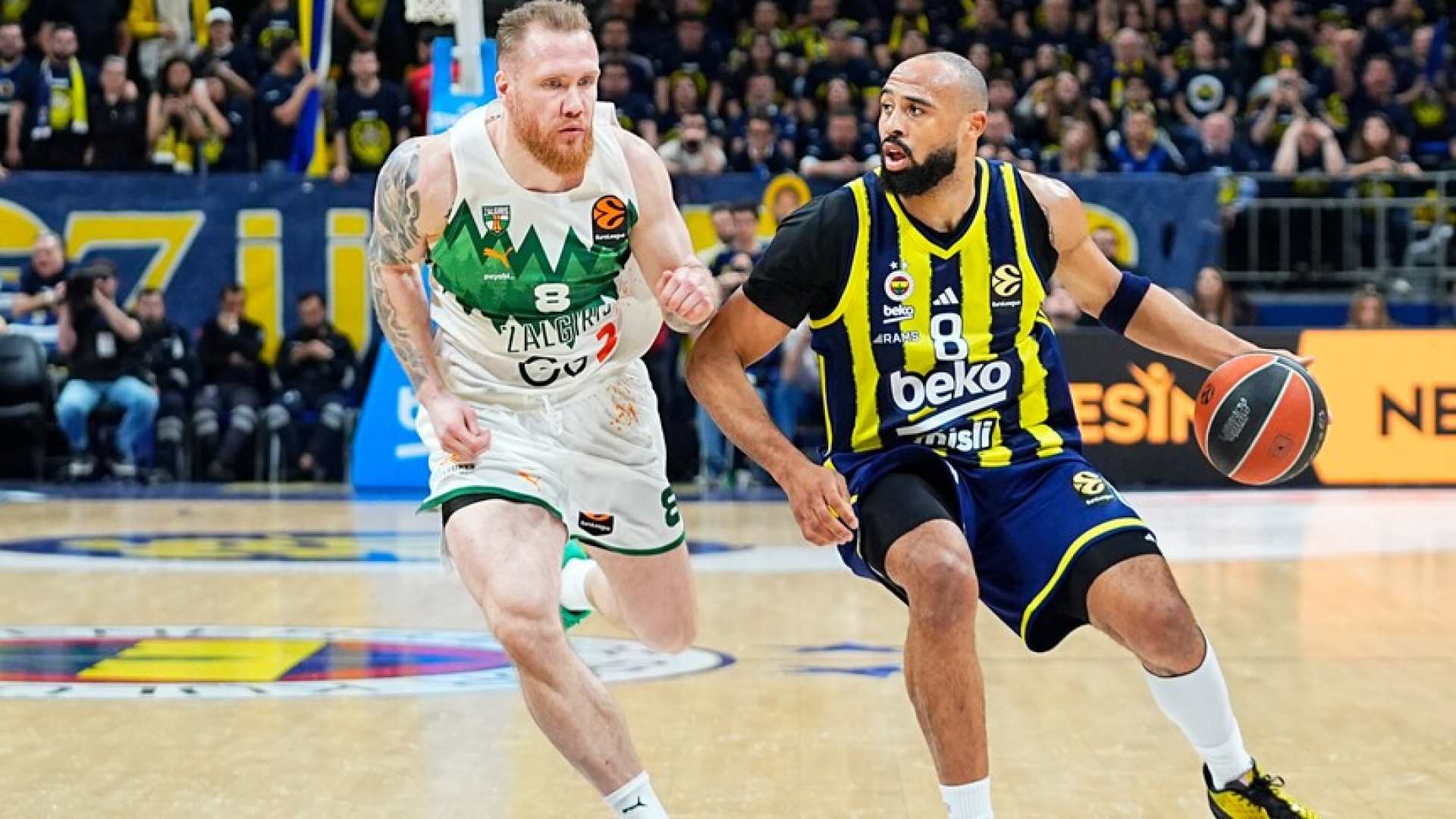 Zalgiris-Fenerbahçe Beko maçı canlı izle: Hangi kanalda, saat kaçta?