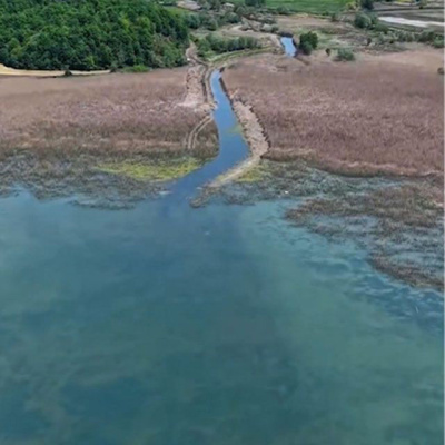 Sapanca'da sevindiren görüntü