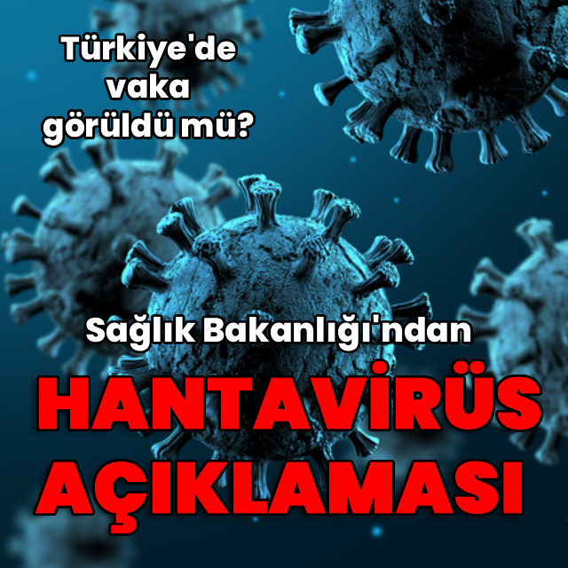 Sağlık Bakanlığı'ndan "hantavirüs" açıklaması