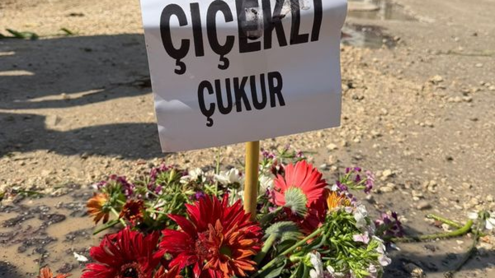 Yoldaki çukurlara çiçekli tepki | Son dakika haberleri
