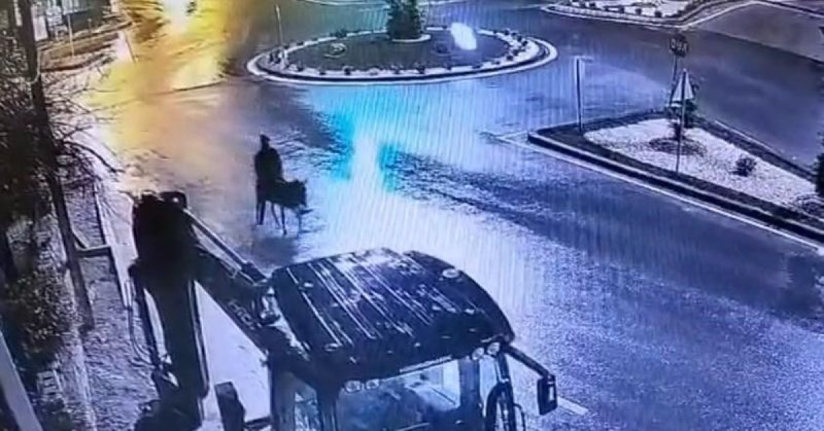 Eşekli firar planı yetmedi - Sanık 9 yıl hapis cezasına çarptırıldı
