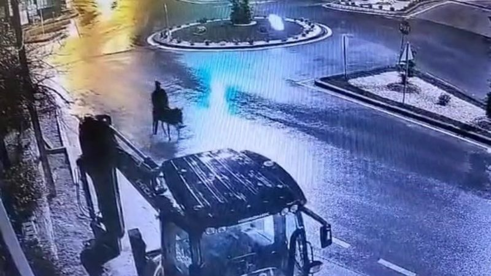 Eşekli firar planı yetmedi: 9 yıl 7 ay hapis cezası | Son dakika haberleri