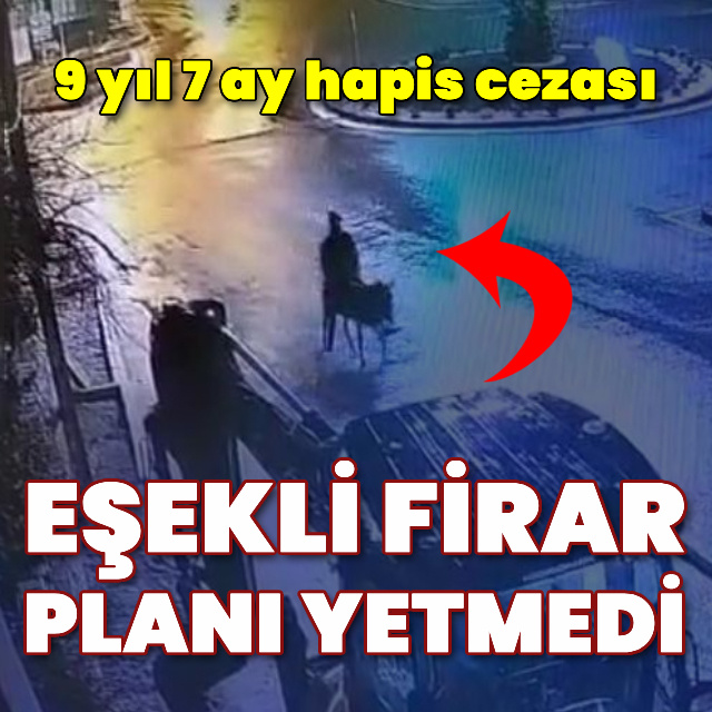 Eşekli firar planı yetmedi: 9 yıl 7 ay hapis cezası
