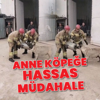 İtfaiyeden anne köpeğe hassas müdahale