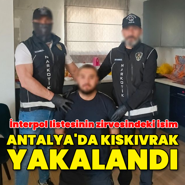 İnterpol listesinin zirvesindeki isim yakalandı