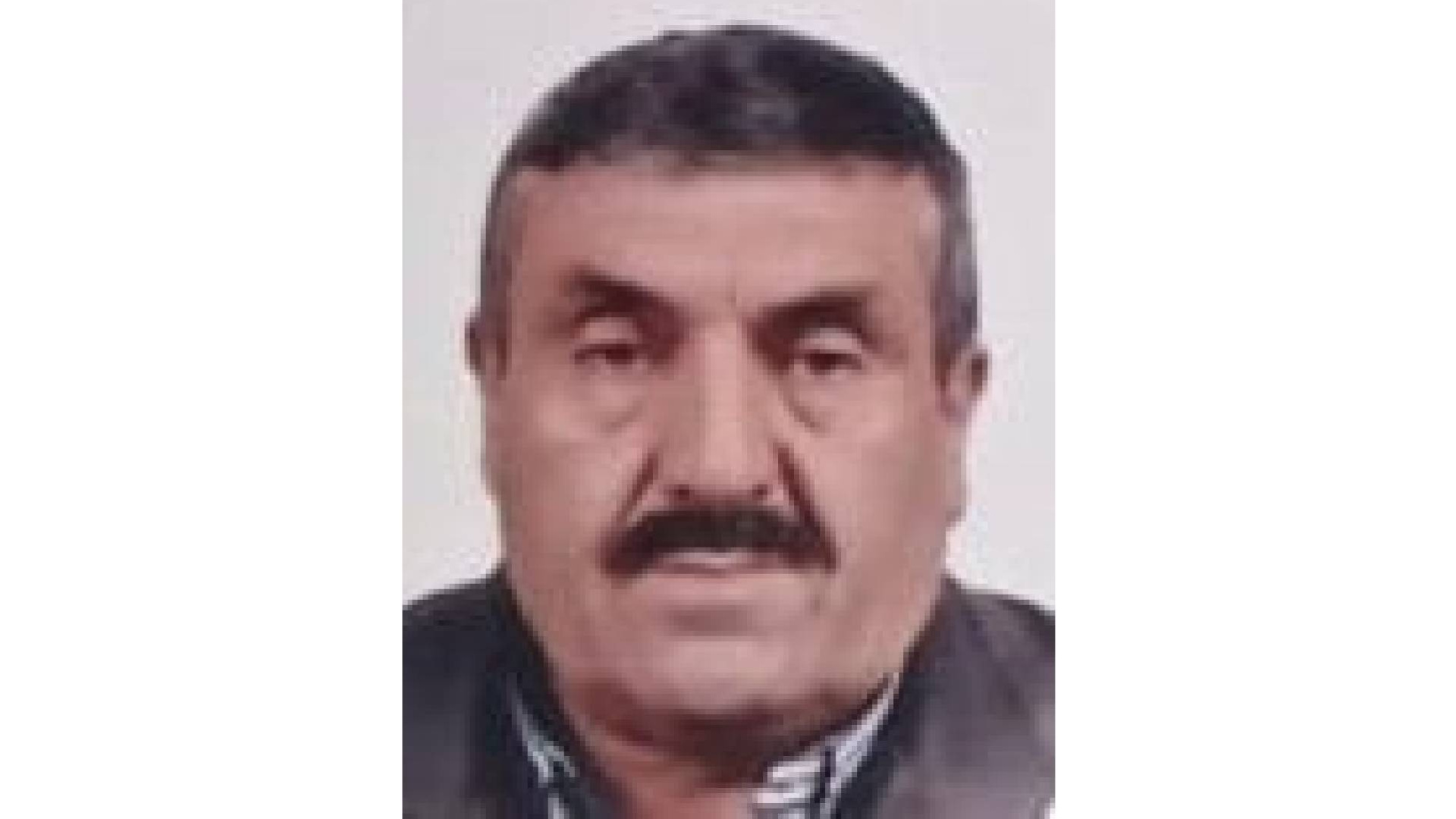 Son dakika: Samsun'da devrilen ağacın altında kalan Sadık Etli hayatını kaybetti | Son dakika haberleri