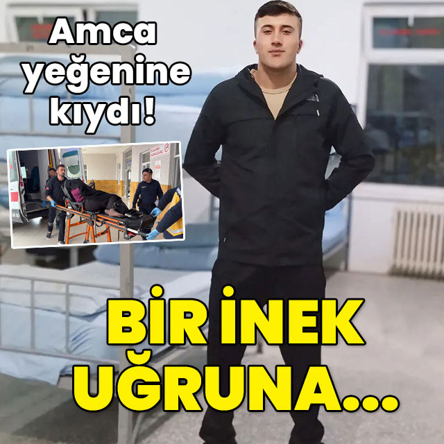 Amca, yeğenine kıydı! Bir inek uğruna...