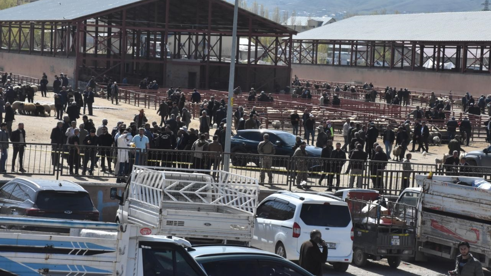 Son dakika Van haberleri! Hayvan pazarı savaş alanına döndü! 1 ölü, 13 yaralı var!