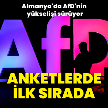 Almanya'da bir ilk: Anketlerde AfD ilk sırada