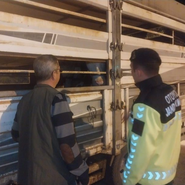 Edirne'de belgesiz hayvan sevkine ceza