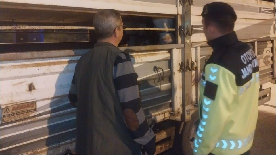 Edirne'de belgesiz hayvan sevkine ceza
