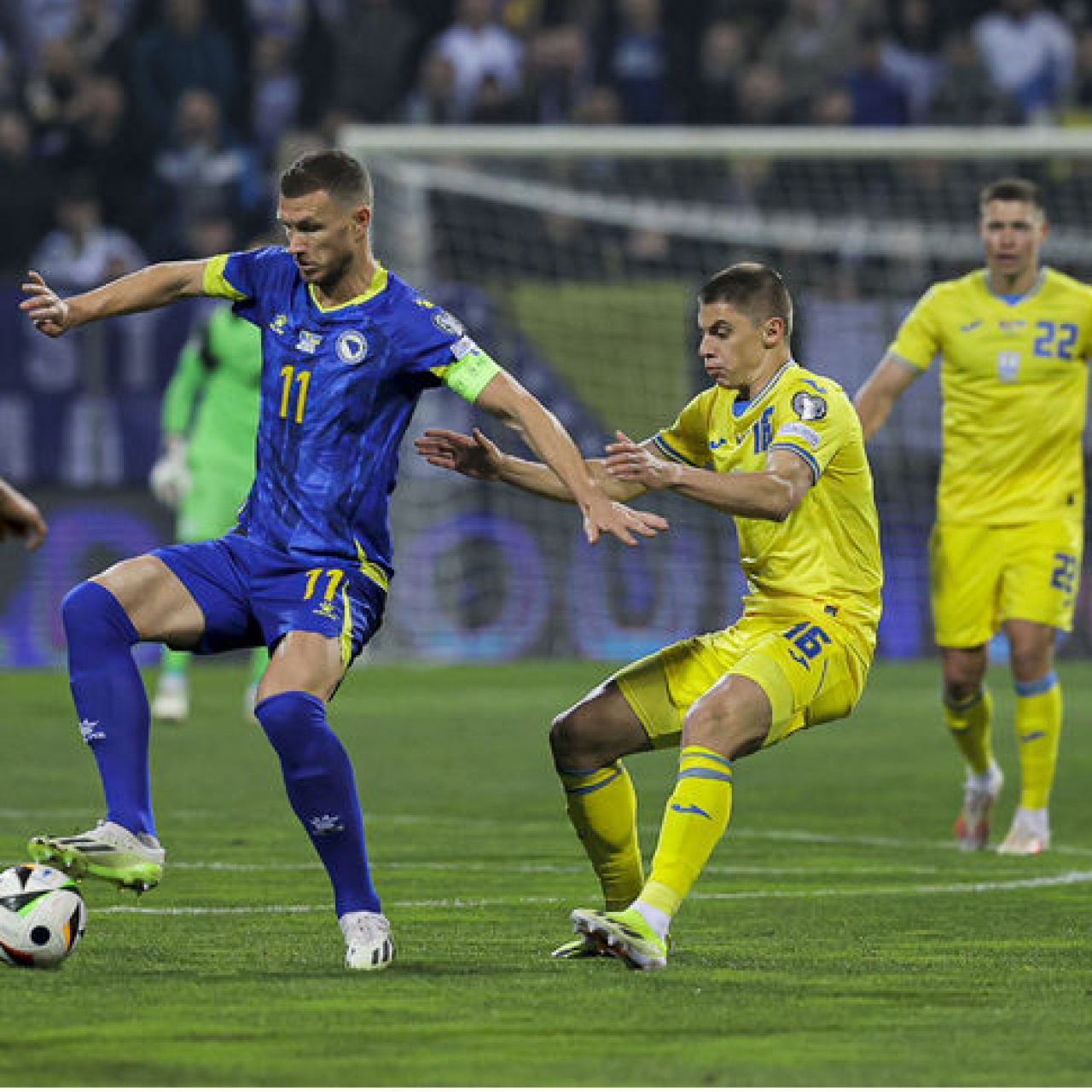 Bosna Hersek'in Dünya Kupası kadrosu açıklandı!