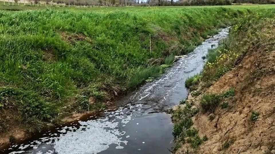 Çevreyi kirleten tesise 1.6 milyon TL ceza
