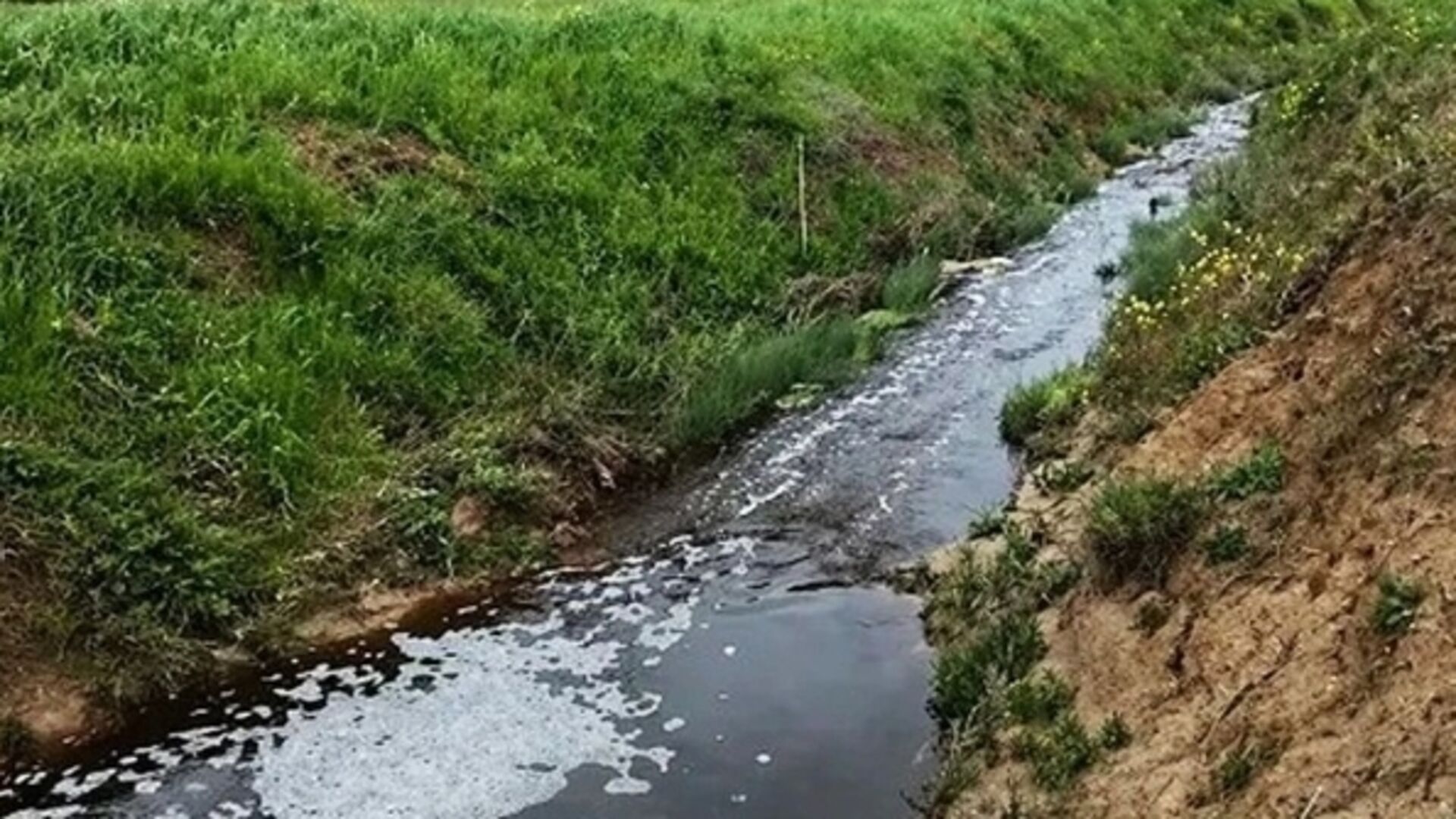 Sinop'ta çevreyi kirleten tesise 1.6 milyon TL ceza
