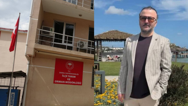 Giresun'da kamu zararı soruşturması