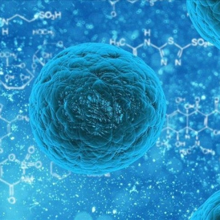 Norovirüs nedir?
