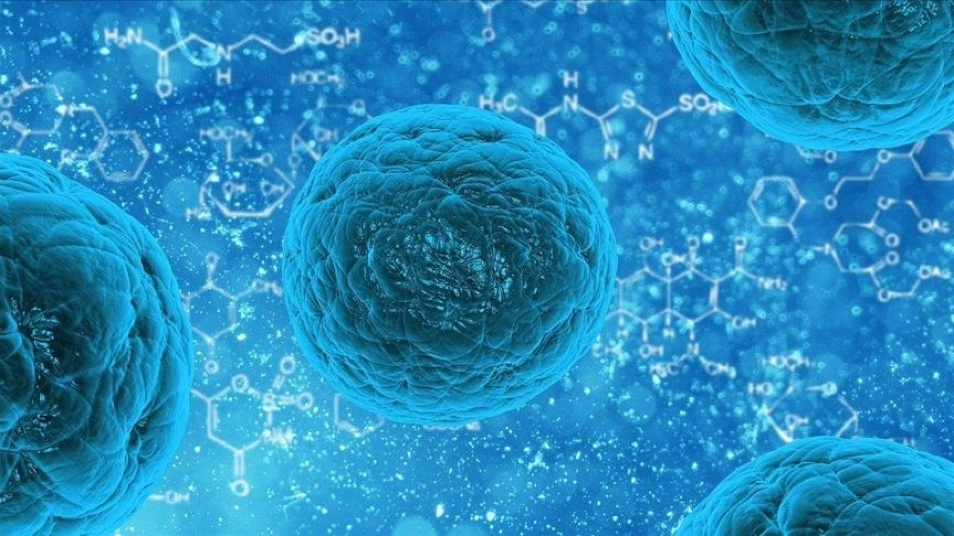 Norovirüs alarmı: 1700 kişi karantinada, 1 ölü!