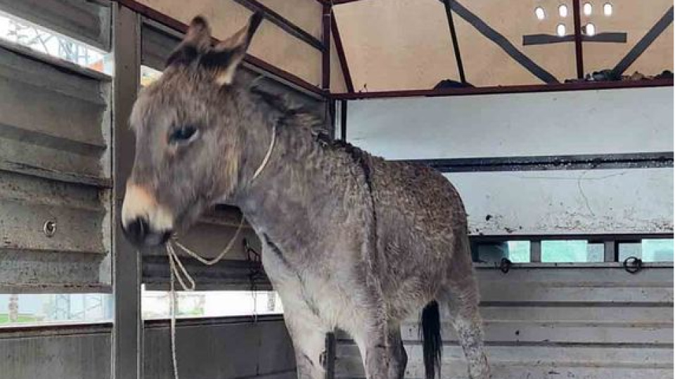 12 yaşındaki çocuğun feci ölümü!