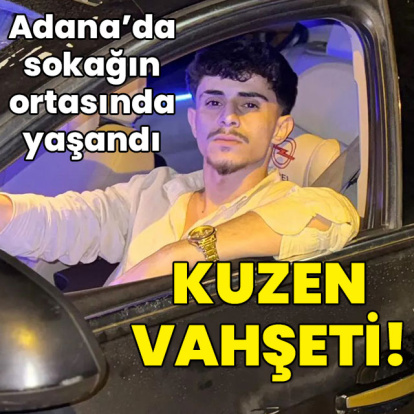 Sokakta kuzen vahşeti!