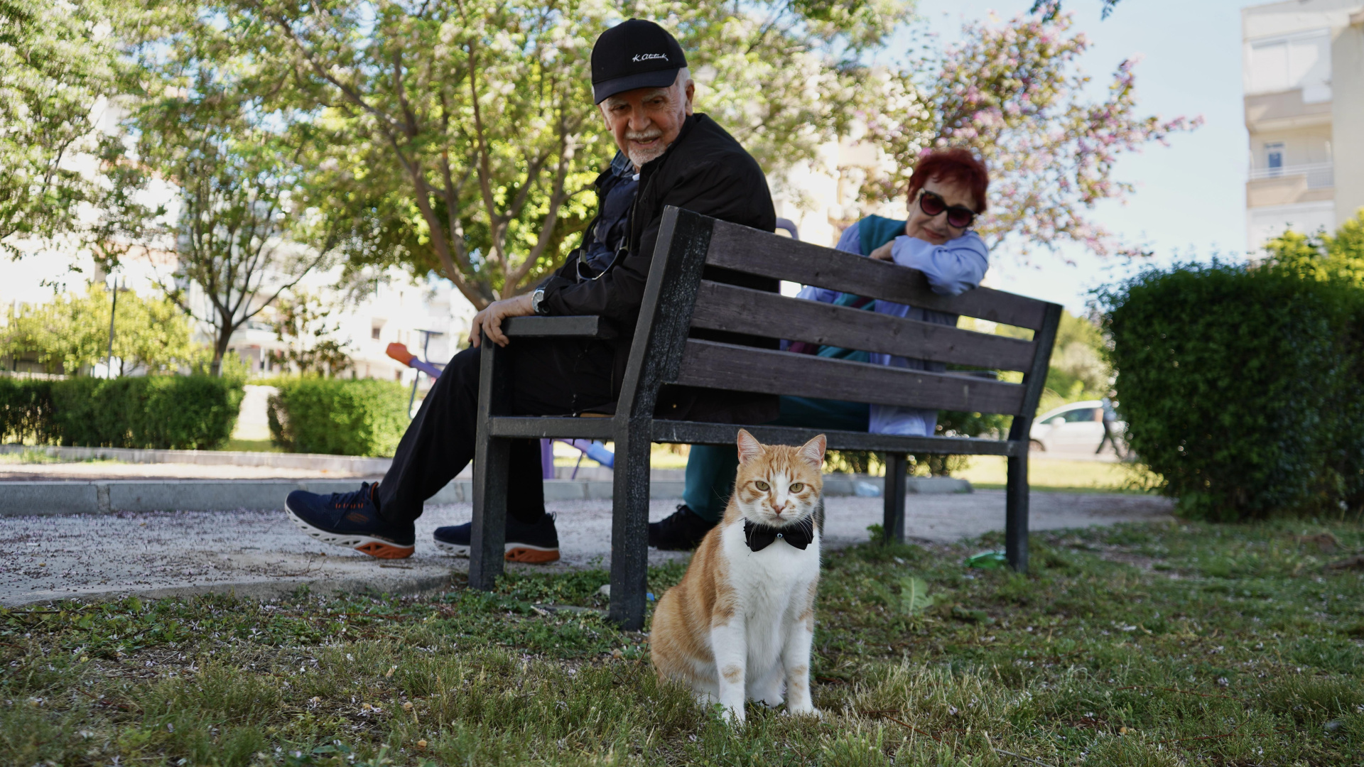 Papyonlu Kedi Foça, Emekli Çiftin Hayatını Değiştirdi
