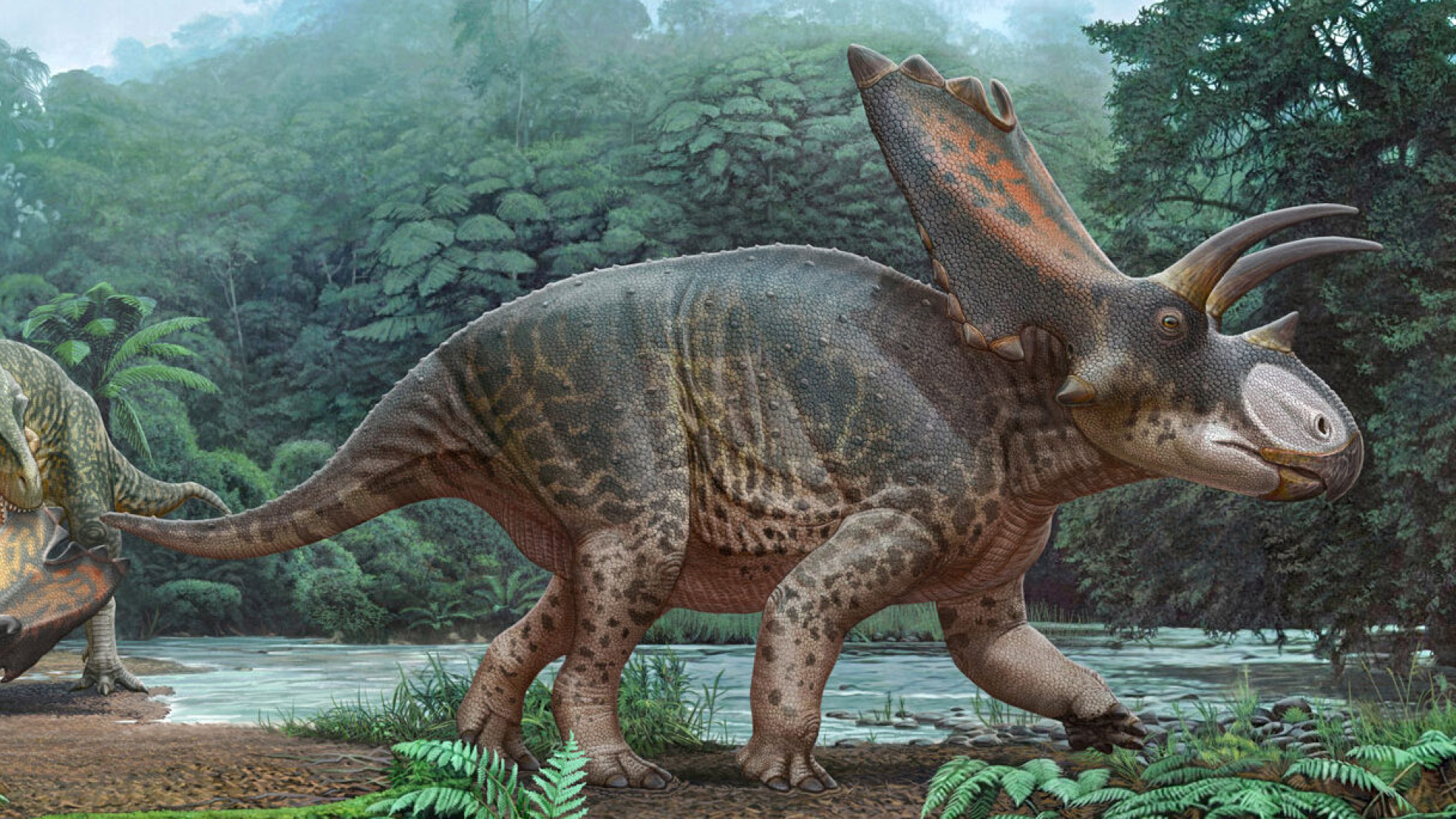 Tayland'da yeni bir dinozor türüne ait kalıntılar bulundu