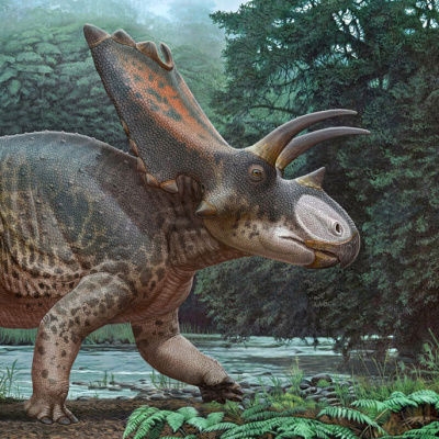 27 tonluk dev dinozor keşfedildi