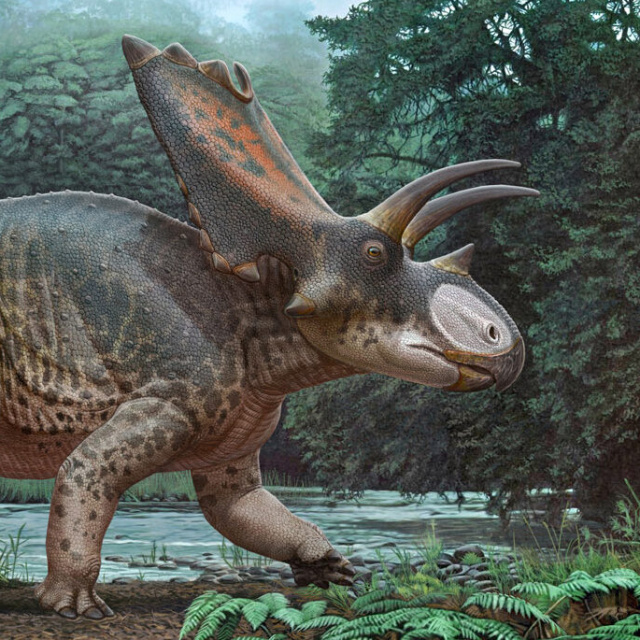 27 tonluk dev dinozor keşfedildi