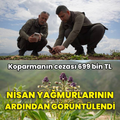 Yağmurların ardından görüntülendi! Koparmanın cezası 699 bin TL