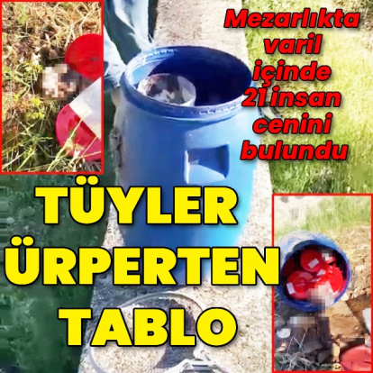 Şanlıurfa'da tüyler ürperten olay