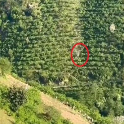 Uçurumda 400 metre yuvarlandılar!