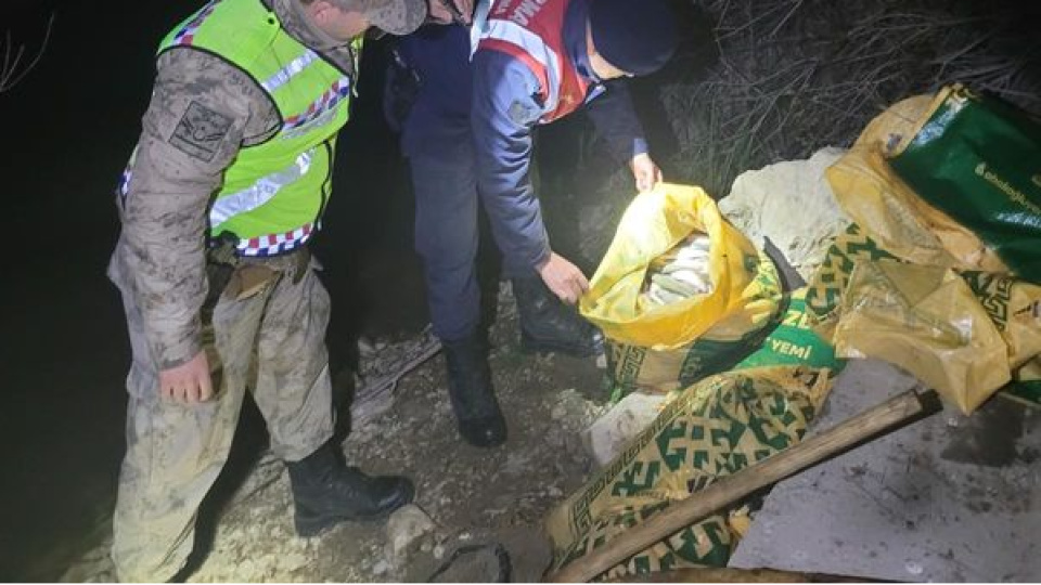 Kaçak inci kefali avına 16 bin TL ceza