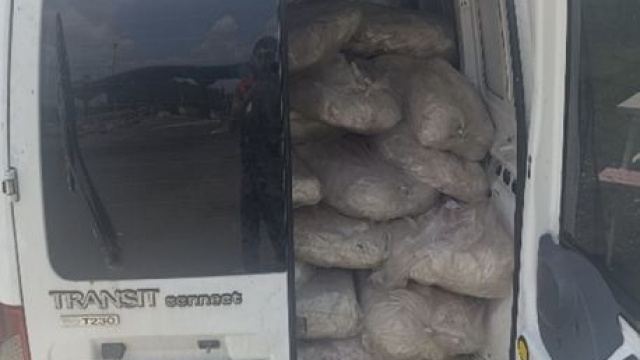 1.2 ton sağlıksız sakatat imha edildi