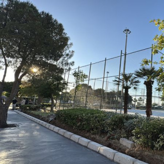 İzmir Konak'ta ağaç kesilmesine tepki