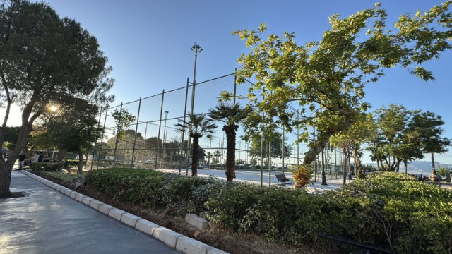 İzmir Konak'ta ağaç kesilmesine tepki
