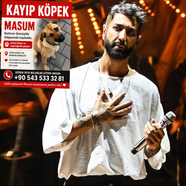 Tan Taşçı'nın köpeği kayboldu