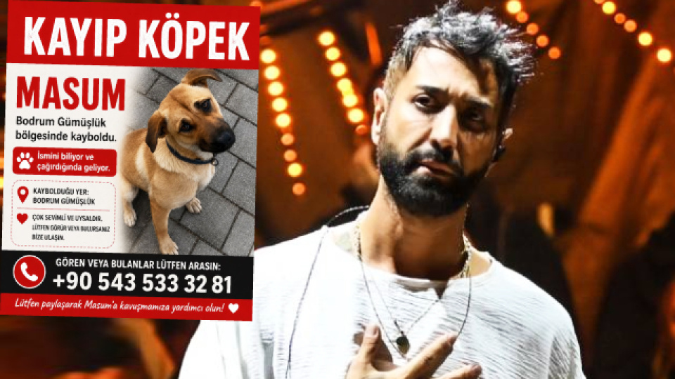Köpeği kayboldu
