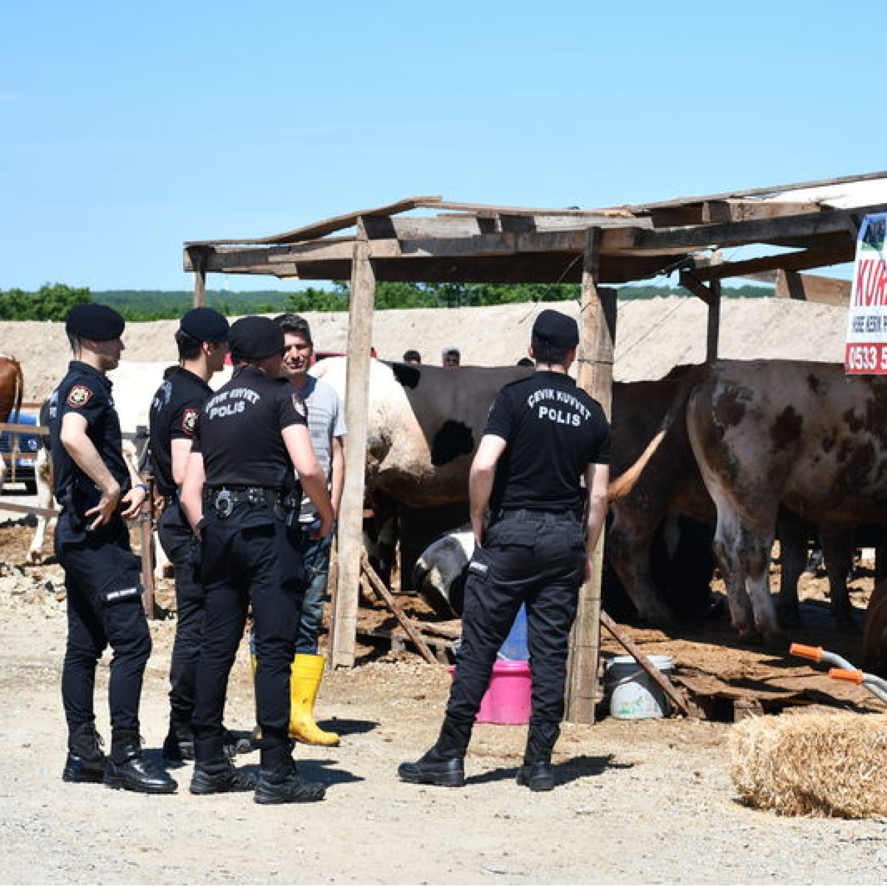Tekirdağ'da Kurban Pazarı Çatışması: 5 Yaralı, 5 Şüpheli Yakalanırken Bölgede Güvenlik Sertleşti