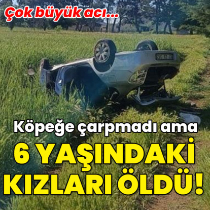 Köpeğe çarpmadı ama 6 yaşındaki kızları öldü!