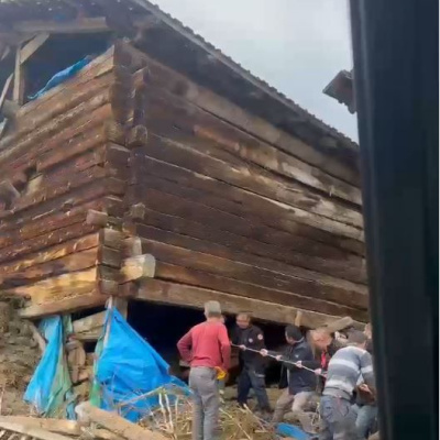 Ahırda göçük! 1 kadın hayatını kaybetti, 94 hayvan öldü