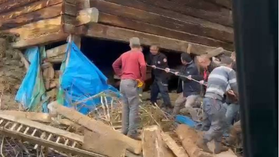 Ahırda göçük! 1 kadın hayatını kaybetti, 94 hayvan öldü