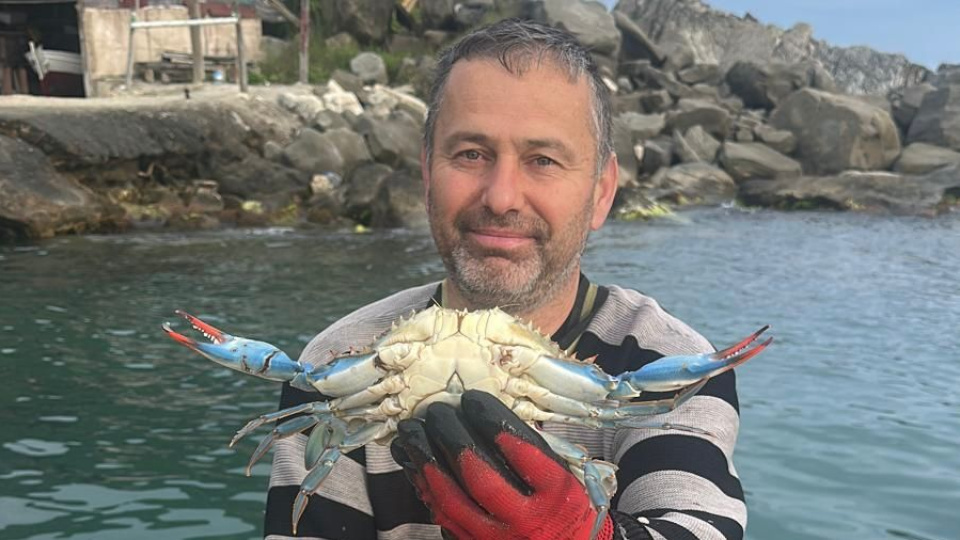 Sinop'ta balıkçıların ağına takıldı