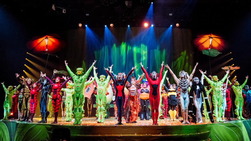 Cirque du Soleil, 10 yıl aradan sonra İstanbul'da