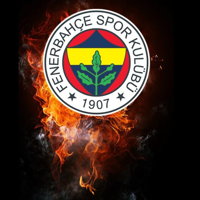 Fenerbahçe, Hull City'i tebrik etti!